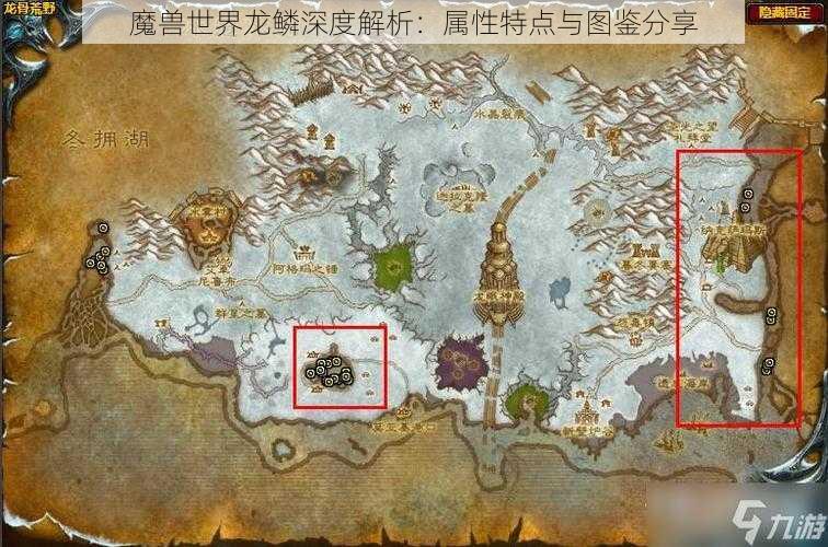 魔兽世界龙鳞深度解析：属性特点与图鉴分享