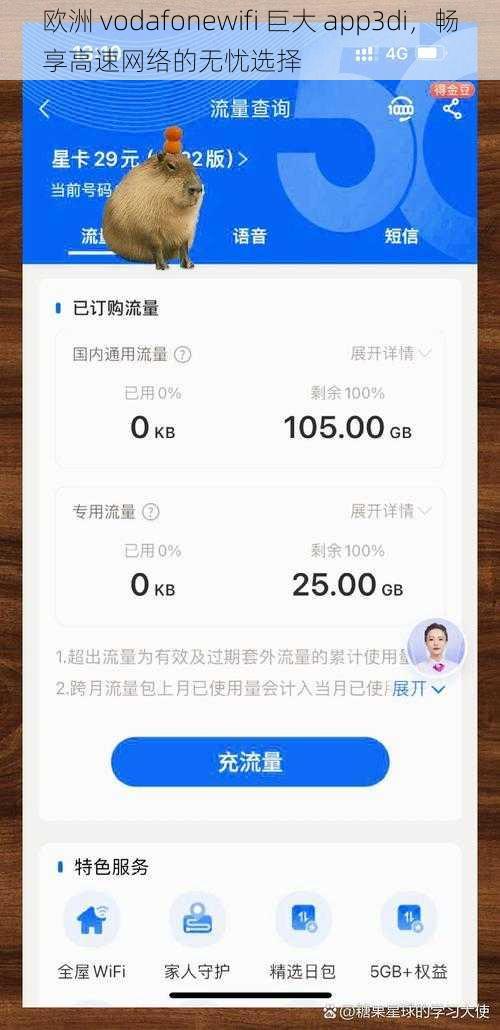 欧洲 vodafonewifi 巨大 app3di，畅享高速网络的无忧选择
