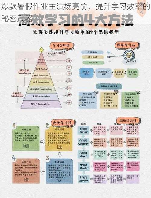 爆款暑假作业主演杨亮俞，提升学习效率的秘密武器