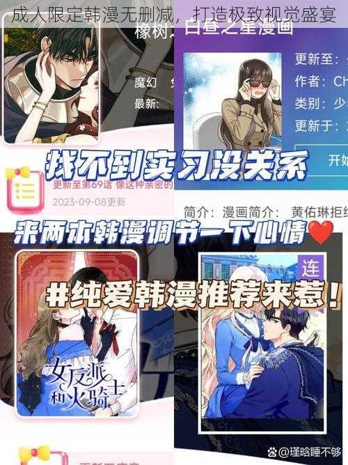 成人限定韩漫无删减，打造极致视觉盛宴