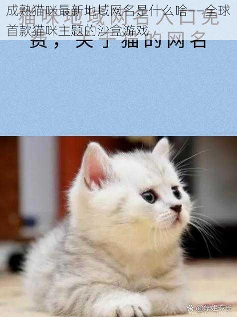 成熟猫咪最新地域网名是什么啥——全球首款猫咪主题的沙盒游戏