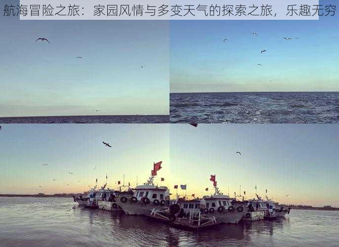 航海冒险之旅：家园风情与多变天气的探索之旅，乐趣无穷