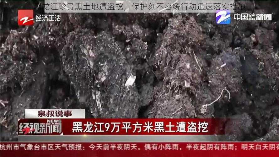 黑龙江珍贵黑土地遭盗挖，保护刻不容缓行动迅速落实措施