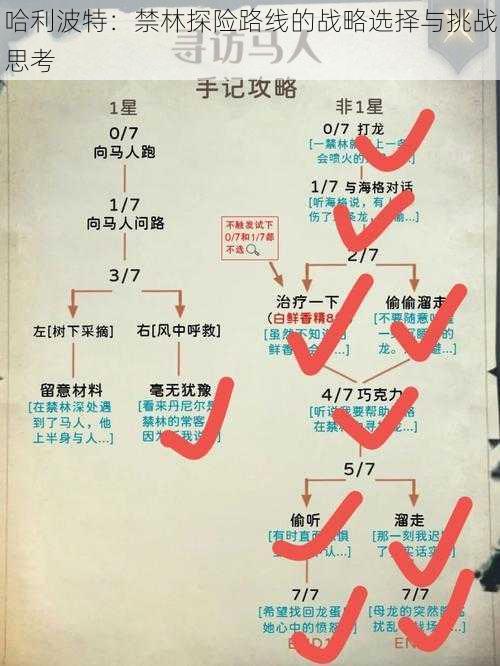 哈利波特：禁林探险路线的战略选择与挑战思考