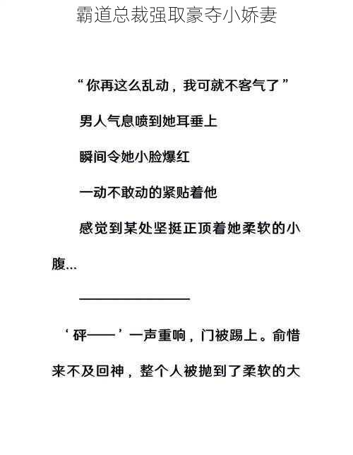 霸道总裁强取豪夺小娇妻