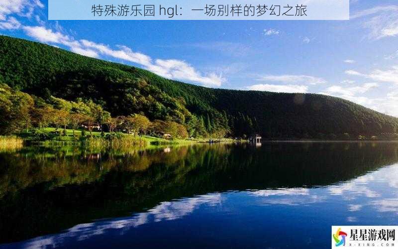 特殊游乐园 hgl：一场别样的梦幻之旅