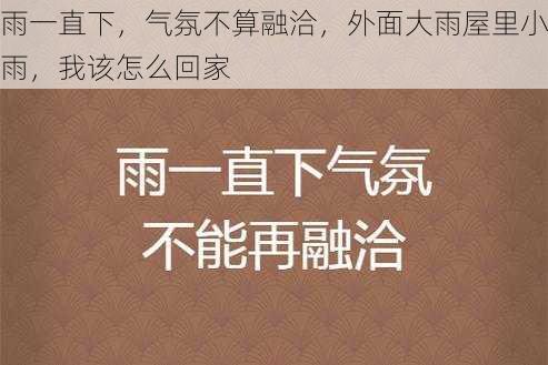 雨一直下，气氛不算融洽，外面大雨屋里小雨，我该怎么回家