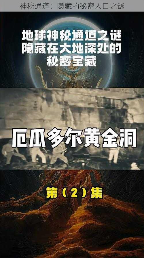 神秘通道：隐藏的秘密人口之谜