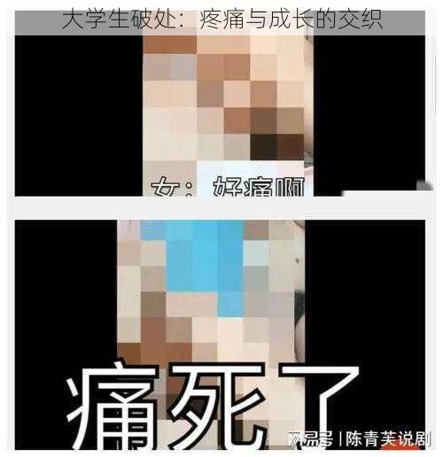 大学生破处：疼痛与成长的交织