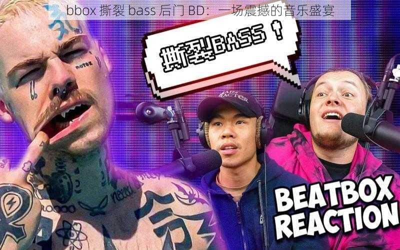 bbox 撕裂 bass 后门 BD：一场震撼的音乐盛宴