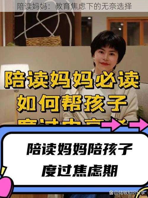 陪读妈妈：教育焦虑下的无奈选择