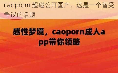 caoprom 超碰公开国产，这是一个备受争议的话题