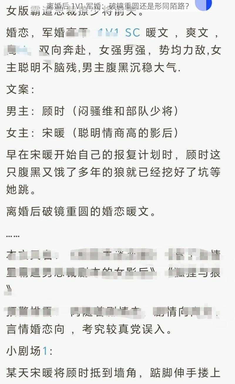 离婚后 1V1 军婚：破镜重圆还是形同陌路？